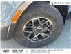 2024 Ford Ranger XLT (Stk: 502014) in Sarnia - Image 2 of 28