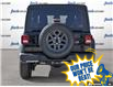2025 Jeep Wrangler Sport (Stk: 44551) in Kitchener - Image 5 of 27