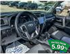 2023 Toyota 4Runner Base (Stk: 613) in Kitchener - Image 12 of 24 2023 Toyota 4Runner Base (Stk: 613) in Kitchener - Image 12 of 24