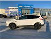 2013 Ford Escape SE (Stk: 10431A) in Vermilion - Image 2 of 24