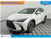 2022 Lexus NX 350h Base (Stk: TU0119) in Calgary - Image 1 of 25