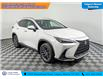 2022 Lexus NX 350h Base (Stk: TU0119) in Calgary - Image 4 of 25