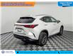 2022 Lexus NX 350h Base (Stk: TU0119) in Calgary - Image 6 of 25