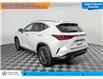 2022 Lexus NX 350h Base (Stk: TU0119) in Calgary - Image 8 of 25