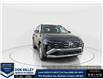2025 Hyundai Tucson Preferred (Stk: 16104758) in Markham - Image 4 of 21