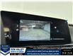 2026 Hyundai Elantra HEV Luxury (Stk: 16105060) in Markham - Image 9 of 17