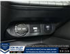 2026 Hyundai Elantra HEV Luxury (Stk: 16105060) in Markham - Image 17 of 17