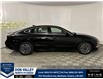2026 Hyundai Sonata Hybrid Preferred-Trend (Stk: 16104887) in Markham - Image 8 of 8