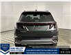 2026 Hyundai Tucson Preferred w/Trend Package (Stk: 16105490) in Markham - Image 6 of 20 2026 Hyundai Tucson Preferred w/Trend Package (Stk: 16105490) in Markham - Image 6 of 20