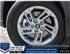 2026 Hyundai Tucson Preferred (Stk: 16105783) in Markham - Image 8 of 24