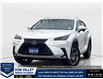 2019 Lexus NX 300 Base (Stk: 16104208B) in Markham - Image 1 of 13