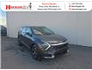 2024 Kia Sportage EX (Stk: 43338A) in New Glasgow - Image 1 of 15