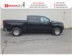 2022 Chevrolet Silverado 1500 LTD LT (Stk: 18083A) in New Glasgow - Image 2 of 13