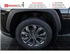 2024 Toyota RAV4 Hybrid Limited (Stk: 95201A) in New Glasgow - Image 14 of 14
