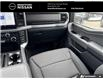 2025 Ford F-150 XLT (Stk: 5F114735) in Brantford - Image 23 of 23