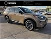 2024 Nissan Rogue Platinum (Stk: P6942) in Brantford - Image 4 of 28