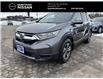 2017 Honda CR-V LX (Stk: P7198A) in Brantford - Image 1 of 22