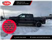 2026 Chevrolet Silverado 1500 Custom Trail Boss (Stk: TG193715) in Calgary - Image 2 of 19