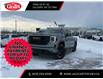 2026 GMC Sierra 1500 Elevation (Stk: TG151723) in Calgary - Image 1 of 23