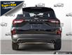 2026 Ford Escape ST-Line (Stk: 26ES114) in St. Catharines - Image 5 of 26