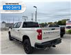 2026 Chevrolet Silverado 1500 Custom Trail Boss (Stk: TT141880) in Caledonia - Image 3 of 46