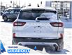 2025 Ford Escape Active (Stk: A51614) in GEORGETOWN - Image 9 of 28