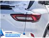 2025 Ford Escape Active (Stk: A51614) in GEORGETOWN - Image 10 of 28