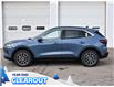 2025 Ford Escape PHEV (Stk: A51637) in GEORGETOWN - Image 6 of 30