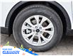 2025 Ford Escape Active (Stk: A51613) in GEORGETOWN - Image 4 of 27