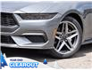 2025 Ford Mustang EcoBoost Premium (Stk: M51714) in GEORGETOWN - Image 2 of 24