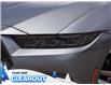 2025 Ford Mustang EcoBoost Premium (Stk: M51714) in GEORGETOWN - Image 3 of 24