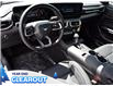 2025 Ford Mustang EcoBoost Premium (Stk: M51714) in GEORGETOWN - Image 14 of 24