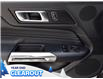 2025 Ford Mustang EcoBoost Premium (Stk: M51714) in GEORGETOWN - Image 17 of 24