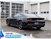 2025 Ford Mustang EcoBoost (Stk: M51787) in GEORGETOWN - Image 7 of 25
