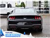2025 Ford Mustang EcoBoost (Stk: M51787) in GEORGETOWN - Image 8 of 25