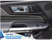 2025 Ford Mustang EcoBoost (Stk: M51787) in GEORGETOWN - Image 16 of 25