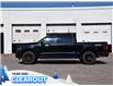 2025 Ford F-150 XLT (Stk: F51696) in GEORGETOWN - Image 5 of 27