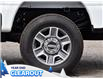 2025 Ford F-250 XLT (Stk: F51928) in GEORGETOWN - Image 6 of 26