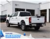 2025 Ford F-250 XLT (Stk: F51928) in GEORGETOWN - Image 7 of 26