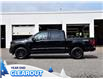 2025 Ford F-150 XLT (Stk: F52018) in GEORGETOWN - Image 5 of 29