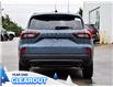 2025 Ford Escape ST-Line (Stk: A51941) in GEORGETOWN - Image 8 of 28