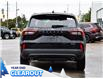 2025 Ford Escape ST-Line (Stk: A51942) in GEORGETOWN - Image 7 of 28