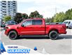 2025 Ford F-150 XLT (Stk: F51955) in GEORGETOWN - Image 6 of 26