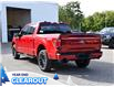 2025 Ford F-150 XLT (Stk: F51955) in GEORGETOWN - Image 7 of 26