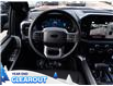 2025 Ford F-150 XLT (Stk: F51955) in GEORGETOWN - Image 22 of 26