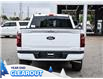 2025 Ford F-150 XLT (Stk: F51984) in GEORGETOWN - Image 8 of 27