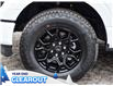 2025 Ford F-150 STX (Stk: F52059) in GEORGETOWN - Image 4 of 26