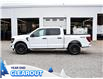 2025 Ford F-150 STX (Stk: F52059) in GEORGETOWN - Image 6 of 26