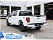 2025 Ford F-150 STX (Stk: F52059) in GEORGETOWN - Image 7 of 26