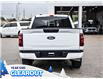 2025 Ford F-150 STX (Stk: F52059) in GEORGETOWN - Image 8 of 26